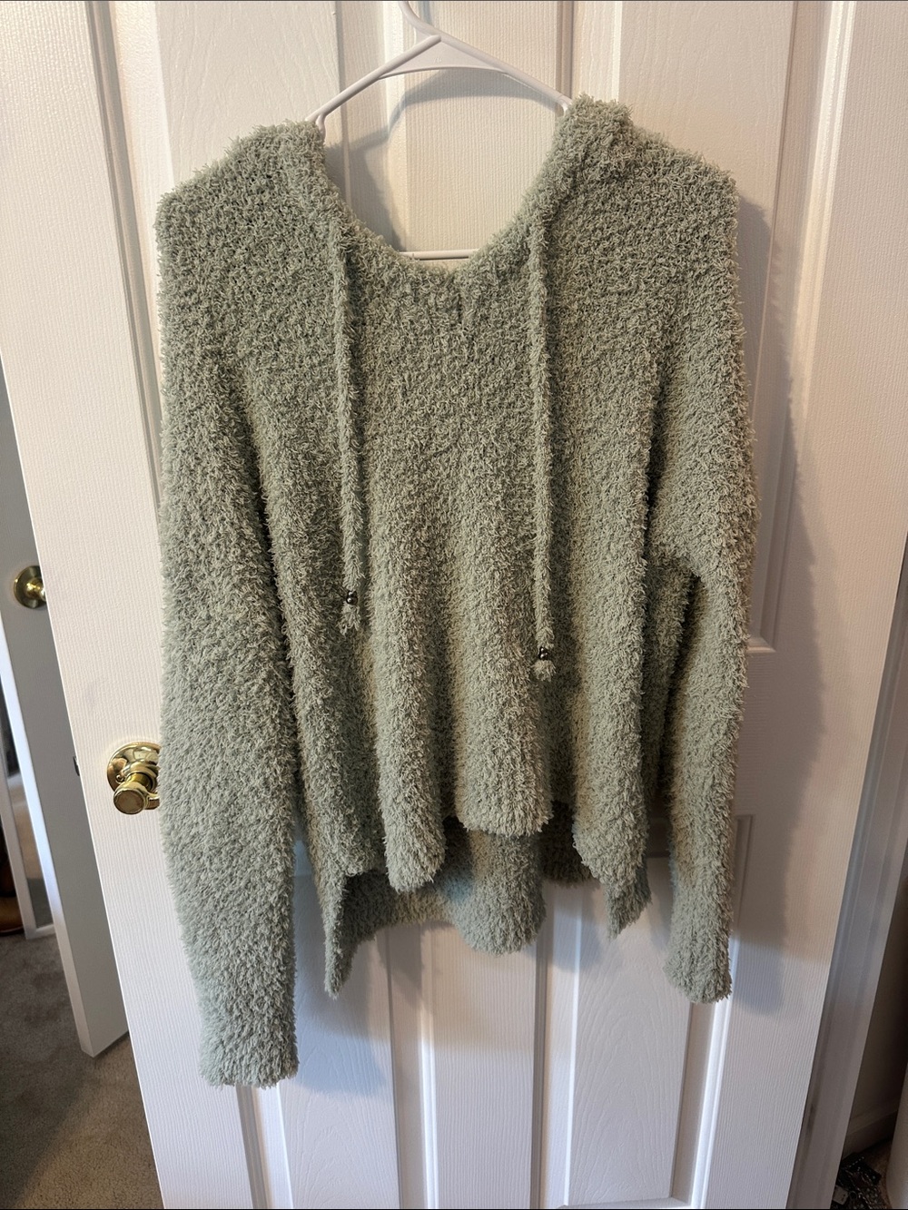 Pol Plush Hooded Pullover in Light Sage